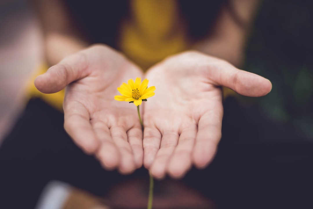 Brindar siempre lo mejor de ti. by Vitamin Brands selective focus photography of woman holding yellow petaled flowers