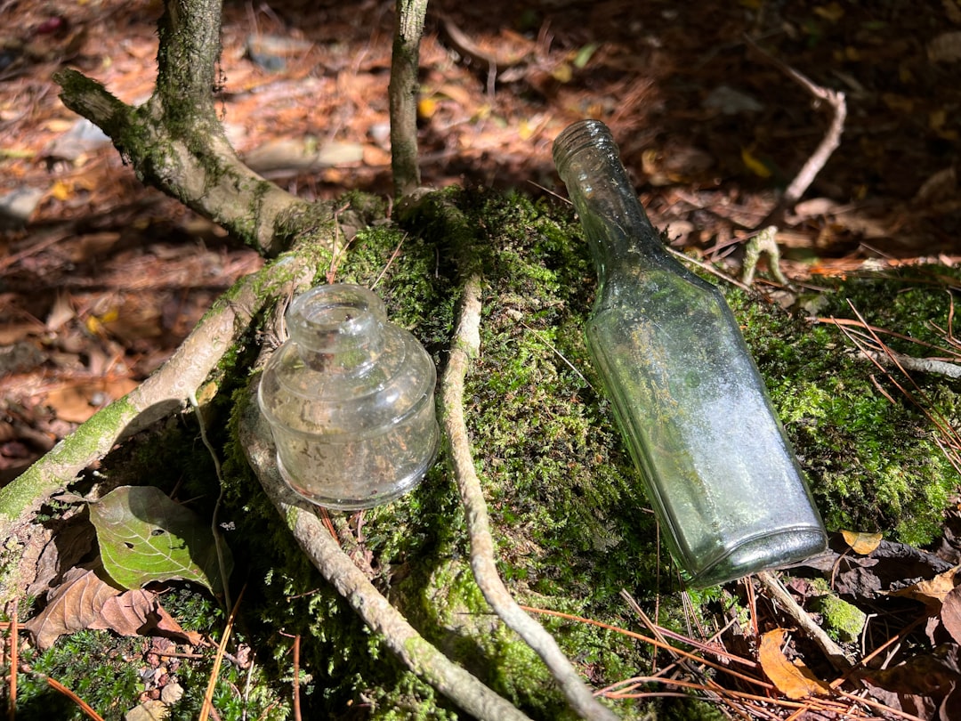 a couple of empty glass bottles sitting on top of a moss covered ground